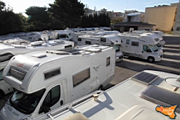 Santa Ninfa 19 11 2016 101.jpg